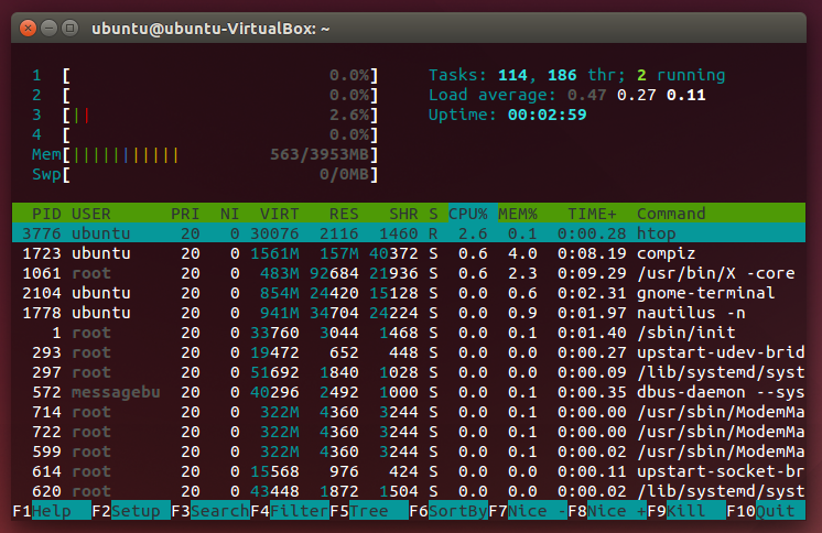 htop screenshot